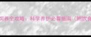 拉布拉多老龄犬饲养全攻略科学养护必看指南附饮食运动护理要点
