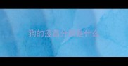 狗的疫苗分别是什么