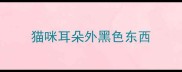 猫咪耳朵外黑色东西