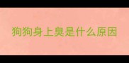 狗狗身上臭是什么原因