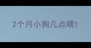 2个月小狗几点喂