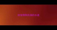 给宠物狗洗澡的水温