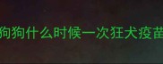 狗狗什么时候一次狂犬疫苗