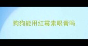 狗狗能用红霉素眼膏吗