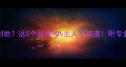 边境牧羊犬疯狂刨地这5个原因90主人不知道附专业训犬师纠正指南