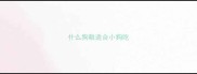 什么狗粮适合小狗吃