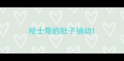 哈士奇的肚子抽动