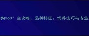 钦州斑点狗360全攻略品种特征饲养技巧与专业机构推荐