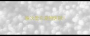 榆次爱它宠物医院