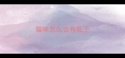 猫咪怎么会有虱子
