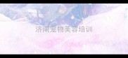 济南宠物美容培训