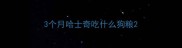 3个月哈士奇吃什么狗粮