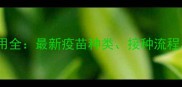 小猫疫苗费用全最新疫苗种类接种流程与避坑指南