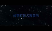 给狗打狂犬疫苗吗