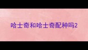 哈士奇和哈士奇配种吗