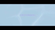 拉布拉多情绪紧张