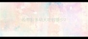 拉布拉多幼犬吃的很少