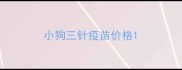 小狗三针疫苗价格