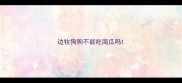 边牧狗狗不能吃南瓜吗