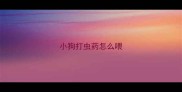 小狗打虫药怎么喂