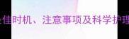 哈士奇幼犬洗澡全指南最佳时机注意事项及科学护理法附月龄分阶段建议