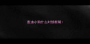 泰迪小狗什么时候断尾