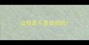 边牧是不是很烦的