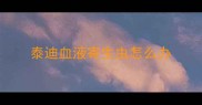 泰迪血液寄生虫怎么办