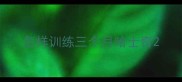 怎样训练三个月哈士奇