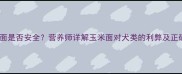 狗狗吃玉米面是否安全营养师详解玉米面对犬类的利弊及正确食用方法
