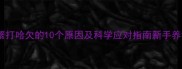 小狗频繁打哈欠的10个原因及科学应对指南新手养狗必看