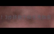 泰迪毛稀少别慌3步拯救干枯毛秃指南附护理清单