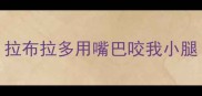 拉布拉多用嘴巴咬我小腿