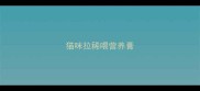 猫咪拉稀喂营养膏