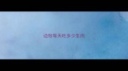 边牧每天吃多少生肉