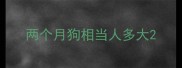 两个月狗相当人多大