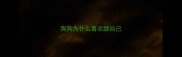 狗狗为什么喜欢舔自己