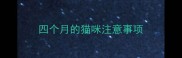 四个月的猫咪注意事项