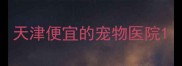 天津便宜的宠物医院