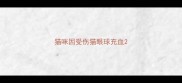 猫咪因受伤猫眼球充血