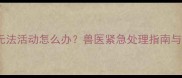 刚出生小狗无法活动怎么办兽医紧急处理指南与护理要点全