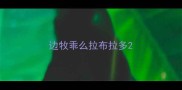 边牧乖么拉布拉多