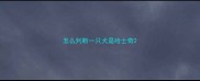 怎么判断一只犬是哈士奇