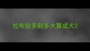 拉布拉多到多大算成犬