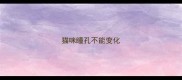猫咪瞳孔不能变化