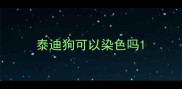 泰迪狗可以染色吗