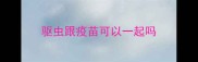 驱虫跟疫苗可以一起吗