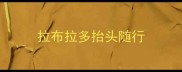 拉布拉多抬头随行