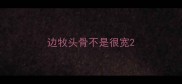 边牧头骨不是很宽