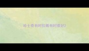 哈士奇有时拉稀有时很好